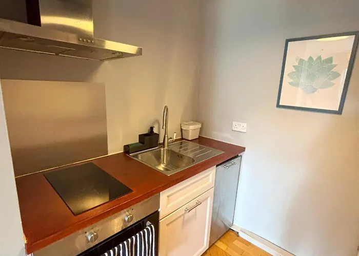 Lägenhetshotell Leevin Corporate 3*